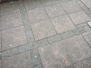 IMG_20190213_122403.jpg