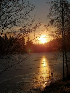 IMG_20190220_075311.jpg