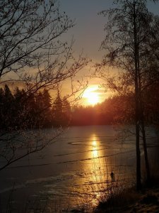 IMG_20190220_075315.jpg