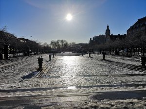 IMG_20190213_111452.jpg