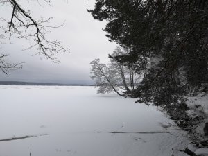 IMG_20190221_130656.jpg