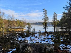 IMG_20190224_140435.jpg