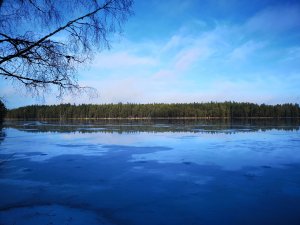 IMG_20190224_133027.jpg