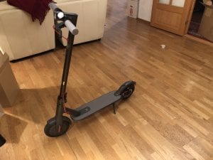 IMG_8281.JPG