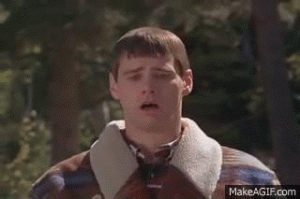 JFc9L8HzSUU8M.gif