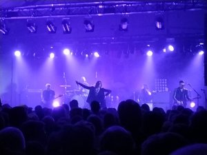 IMG_20190304_220941.jpg