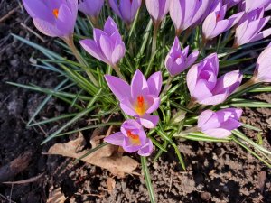 galaxy_s10_plus_day_28.jpg