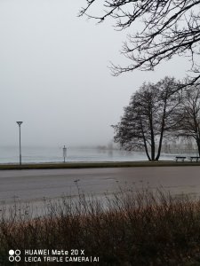IMG_20190307_171502.jpg