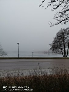 IMG_20190307_171457.jpg