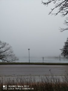 IMG_20190307_171515.jpg
