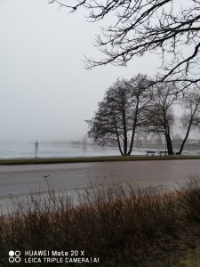 IMG_20190307_171508.jpg