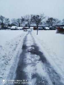 IMG_20190221_171607.jpg