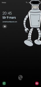 Screenshot_20190309-204507_One UI Home.jpg