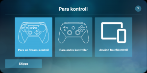 steam_link_anywhere_kontroll.png