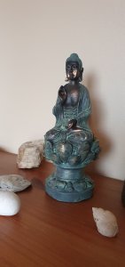 20190316_084128.jpg