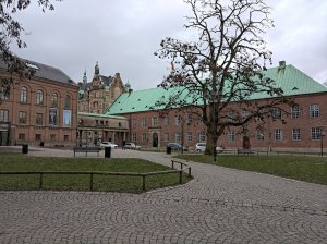 IMG_20190316_154822.jpg