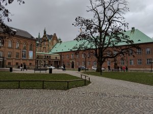 IMG_20190316_154742.jpg