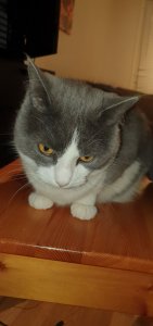 20190318_200650.jpg
