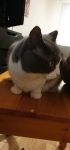 20190318_200701.jpg