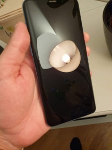 received_266233710964875.jpeg