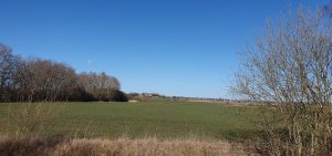 20190319_130828.jpg