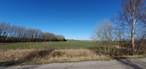 20190319_130824.jpg