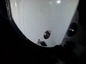 20190319_172616.jpg
