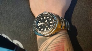 DSC_0026.jpeg