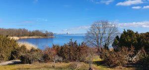 20190322_104600.jpg