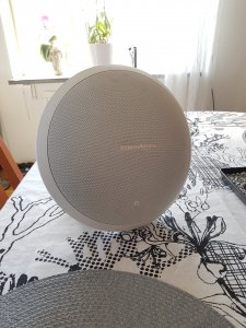 20190330_142821.jpg