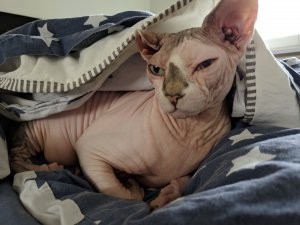 IMG_20190406_100023.jpg