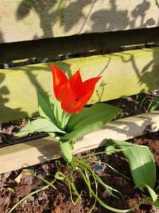 20190407_161717.jpg