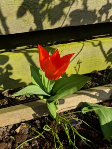 IMG_20190407_161729.jpg