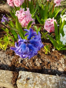 20190407_161808.jpg