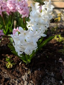 IMG_20190407_161832.jpg