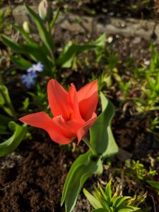 IMG_20190407_161848.jpg