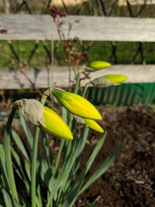 IMG_20190407_161924.jpg