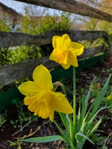 20190407_161942.jpg