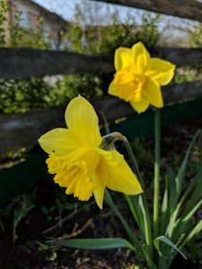IMG_20190407_161959.jpg
