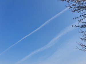 20190407_162216.jpg