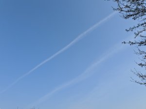 IMG_20190407_162222.jpg