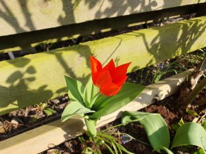 20190407_162303.jpg