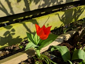 IMG_20190407_162313.jpg