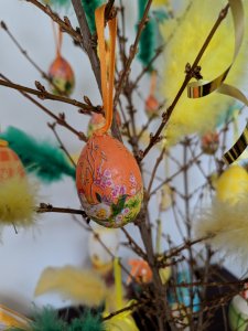 IMG_20190407_162414.jpg