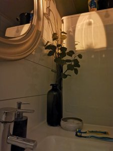 p30 pro blomma.jpg