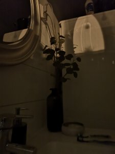 p20 pro blomma.jpg