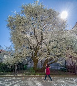 IMG_20190414_134008-Edit.jpg