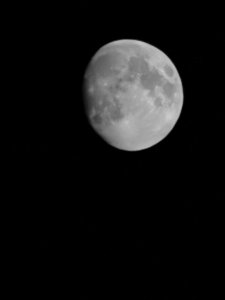 IMG_20190417_001155.jpg