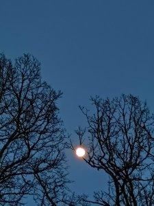 IMG_20190418_205812.jpg