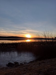 IMG_20190327_060827.jpg